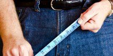 Dimensións do órgano sexual masculino