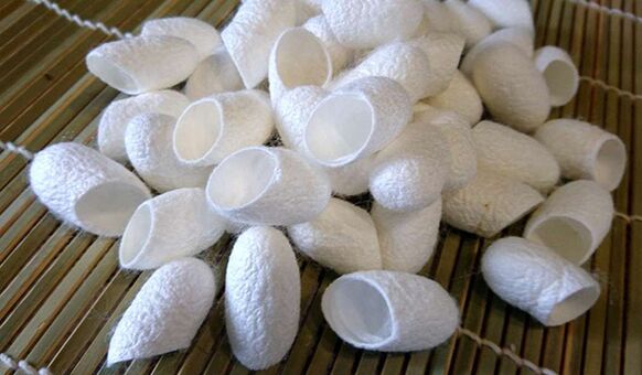 Os fíos de verme de seda chineses promoven o crecemento do pene