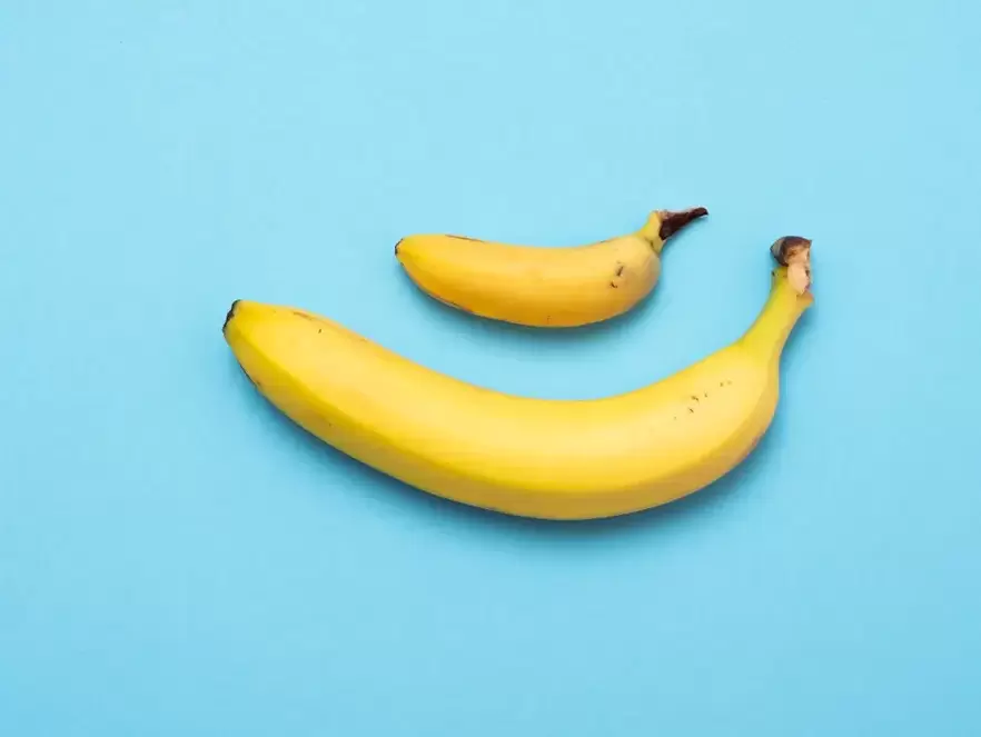 pene pequeno e agrandado con pompa usando o exemplo das bananas